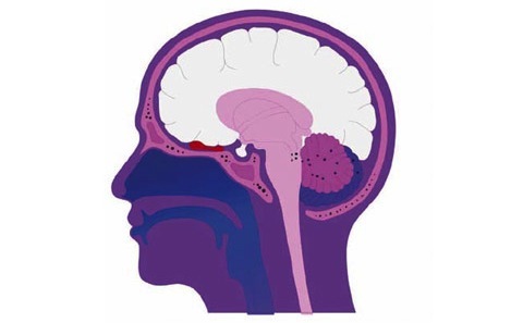 Så tänker du dig starkare och snabbare