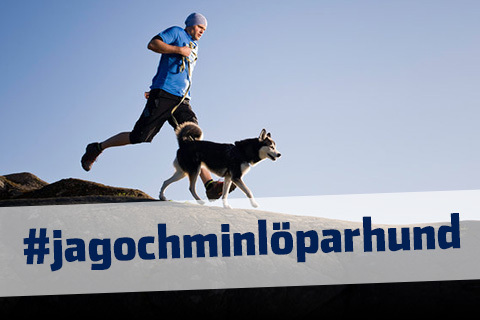 Hunden – löparens bästa vän