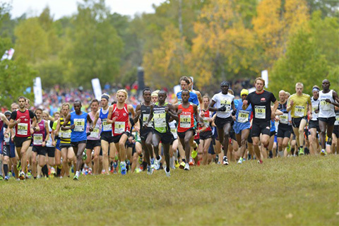 Starkt elitfält till start i Lidingöloppet
