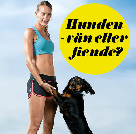 Hunden! Löparens vän eller fiende?