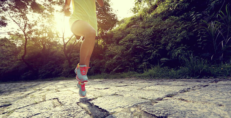iStock_000069545875_Medium.jpg