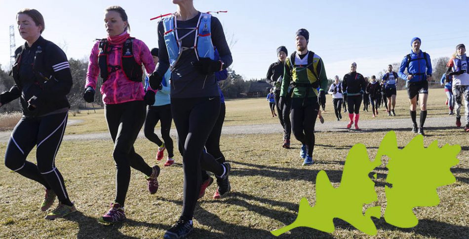 Tävla om startplatser till EcoTrail Stockholm och Salomon-skor