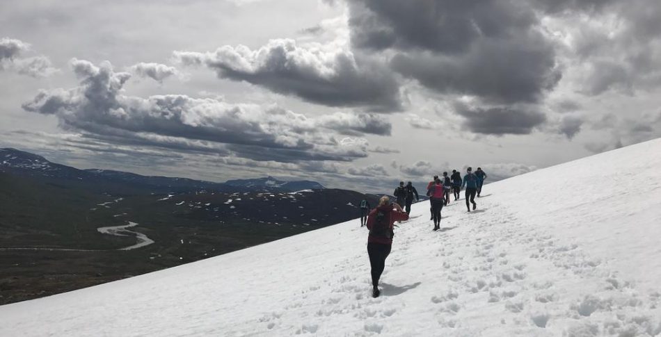 storulvån.JPG