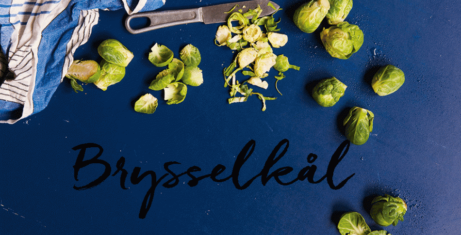 brysselkal.gif