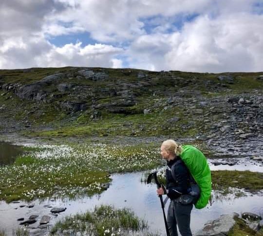Jämtlandstriangeln och fotuppdatering.