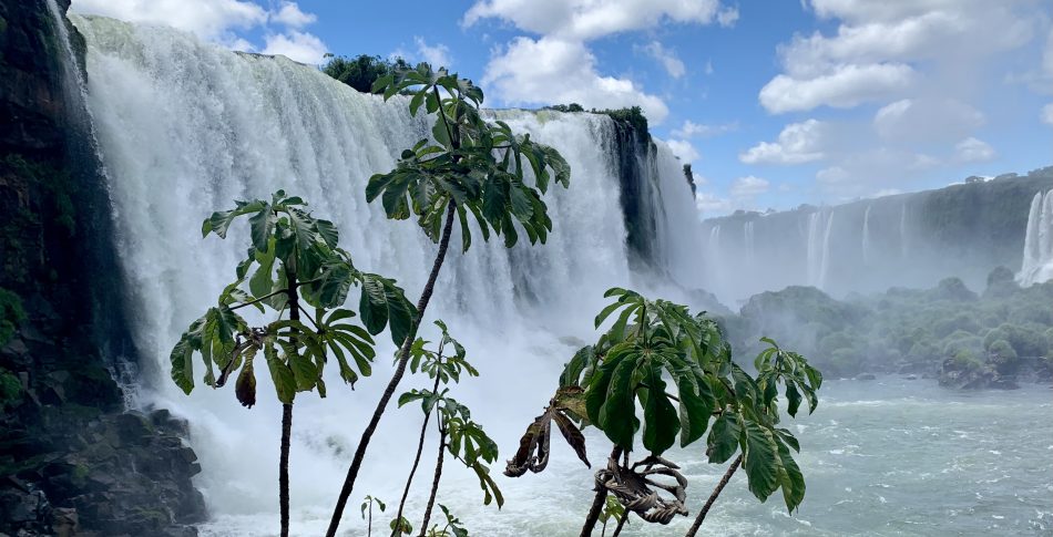 Olympia2Olympia: Buenos Aires – Rio de Janeiro #5 Paraná