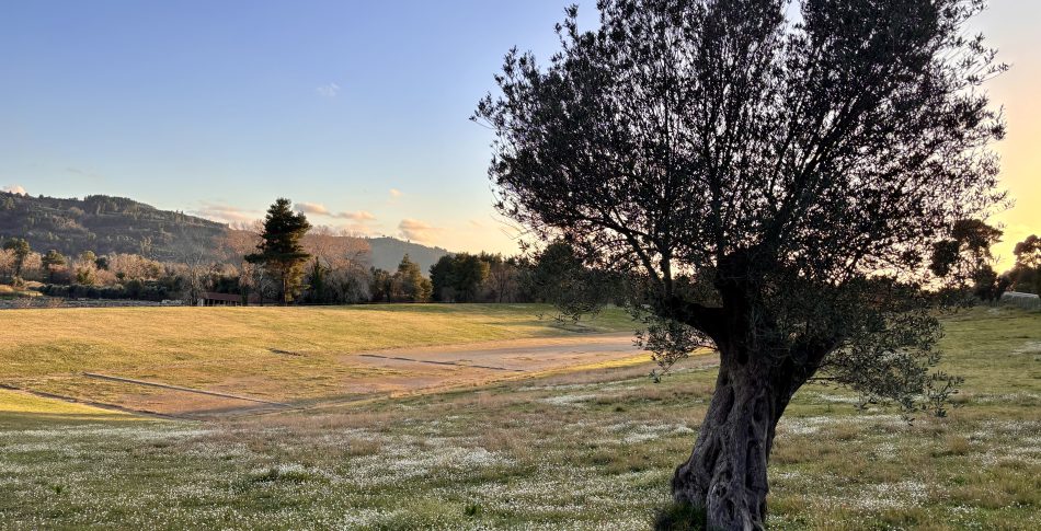 Olympia2Olympia: Peloponnesos, för god för att kolsyras!