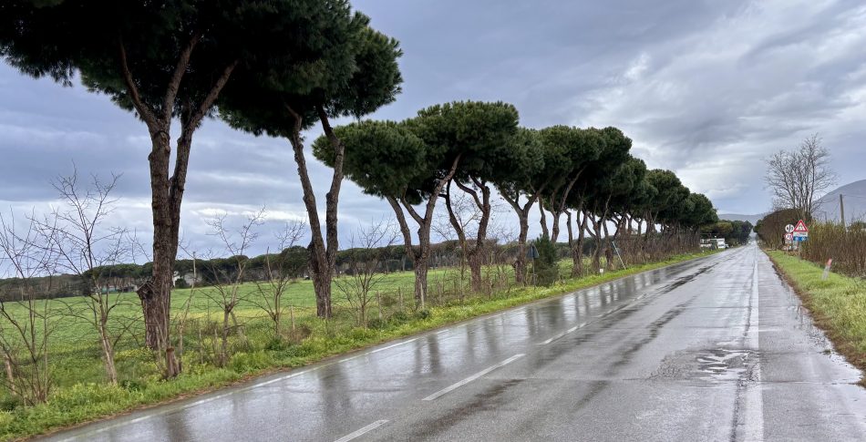 Olympia2Olympia: Påven får vänta