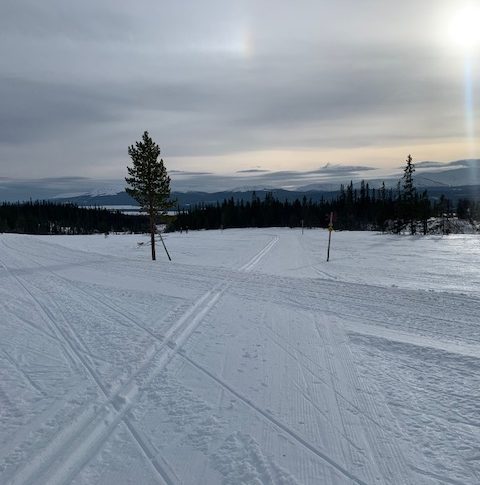 Att hålla en lång och kort horisont