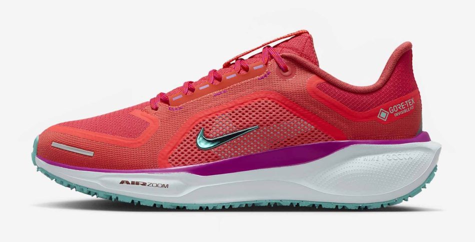 Nike Pegasus för vinterns löpning