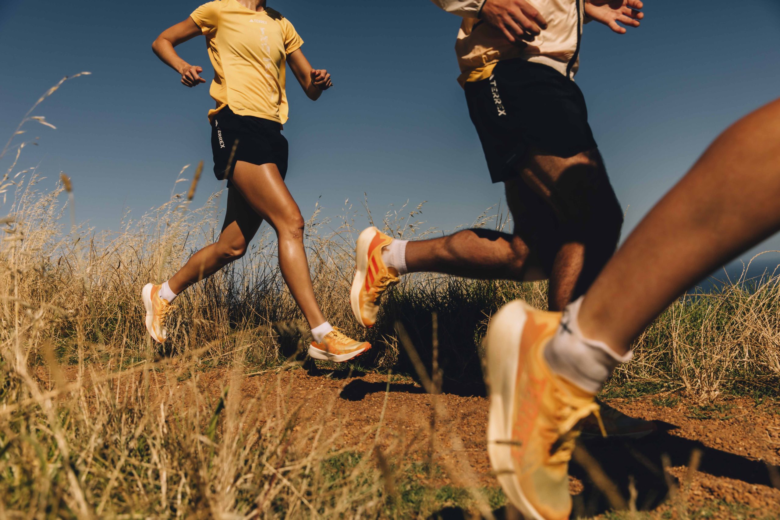 Bästa löparskorna 2024